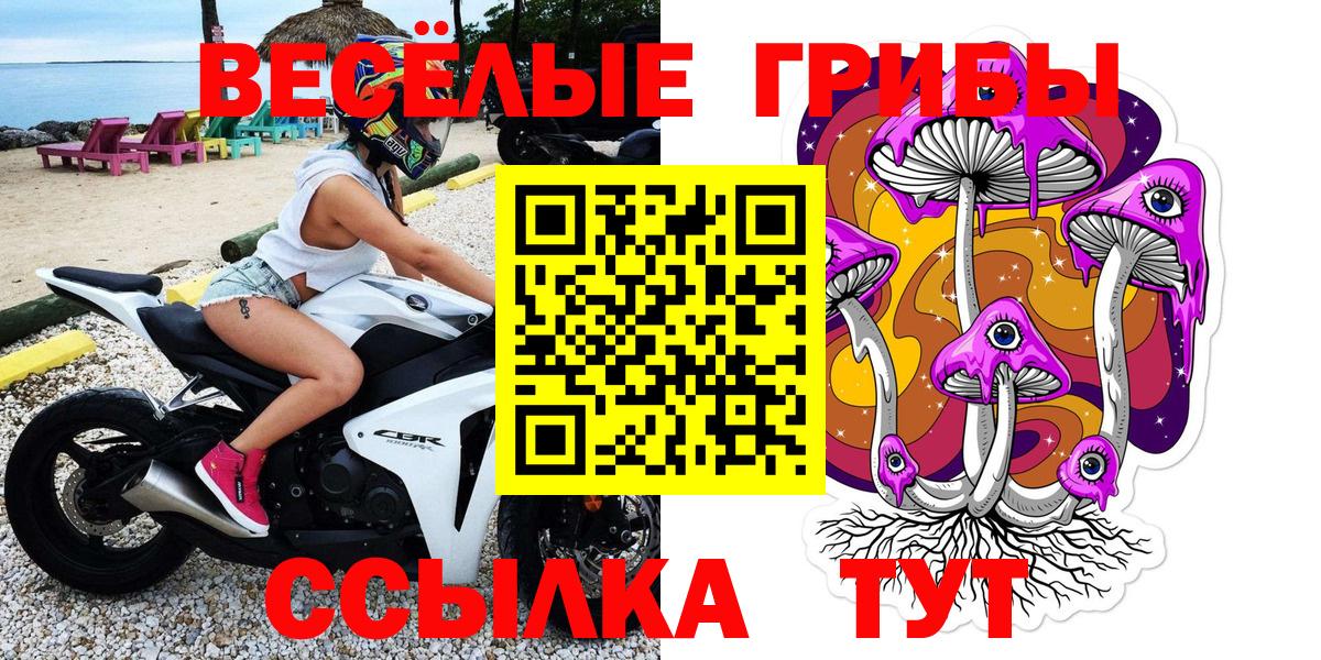 Галлюциногенные грибы MAGIC MUSHROOMS  Псилоцибиновые грибы прущие грибы  Мирный  Вход с VPN 